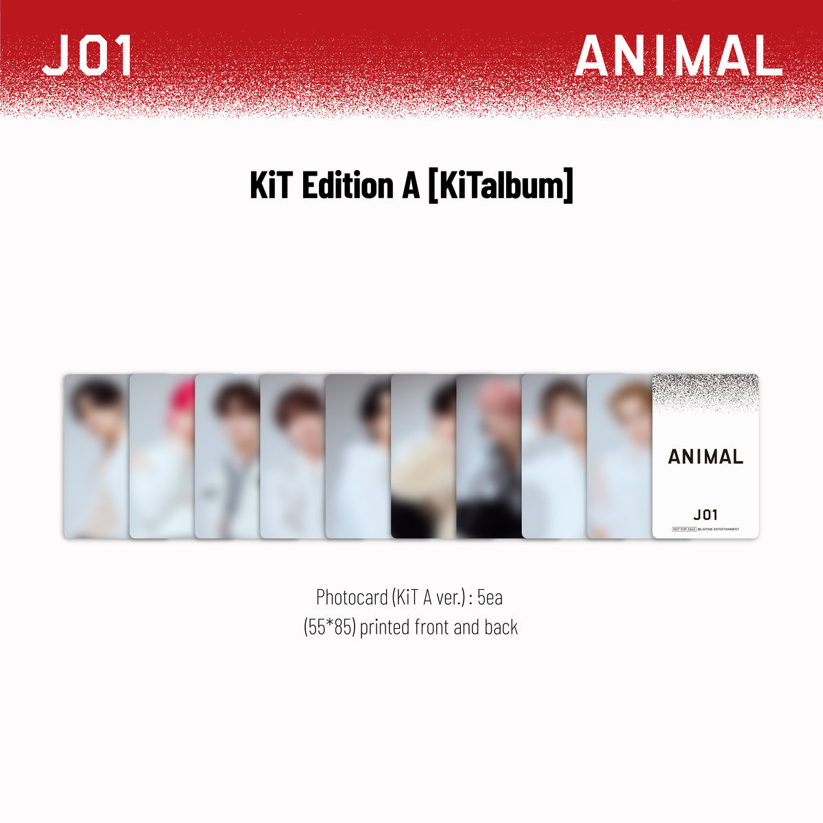 ANIMAL - KiT Edition A [KiTalbum]