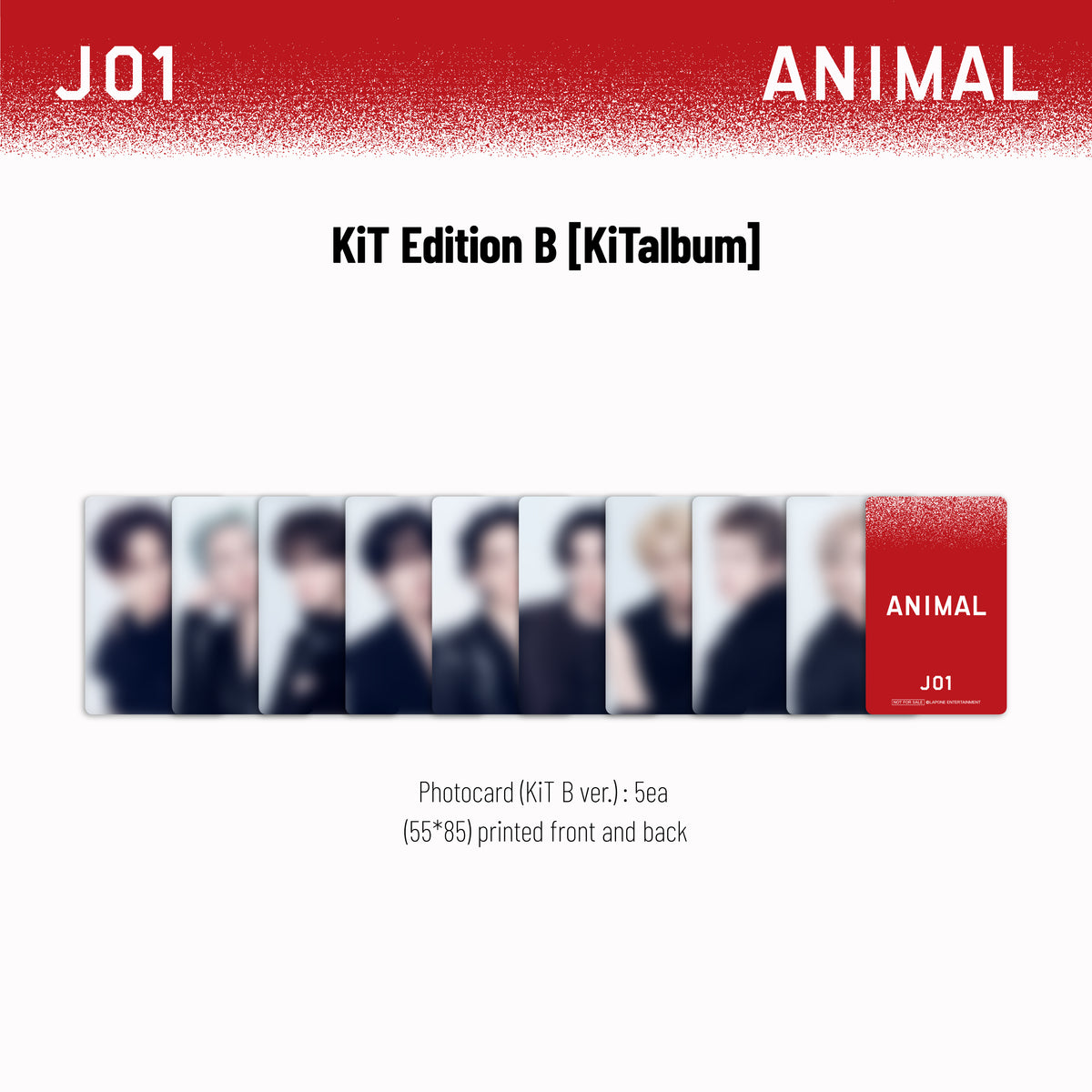 ANIMAL - KiT Edition B [KiTalbum]