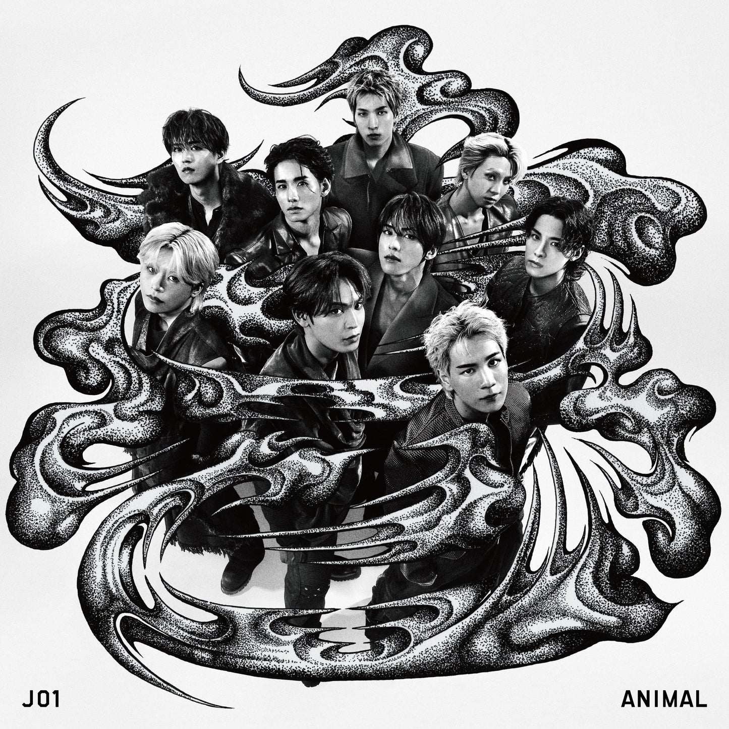 ANIMAL - Regular Edition A