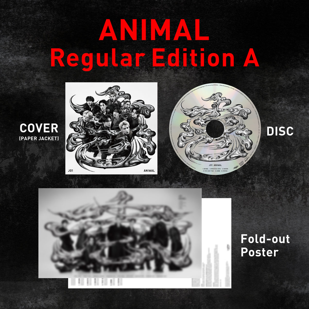 ANIMAL - Regular Edition A